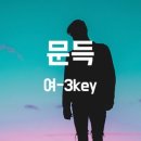하다지(HADAJI) 이미지