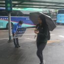 방배종합시장 이미지