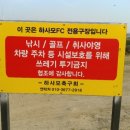 금반잔디