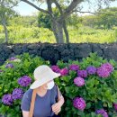 안덕면행정복지센터 이미지