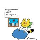 백수 이미지