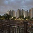 푸른수목원 후기