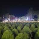 예산읍행정복지센터 이미지