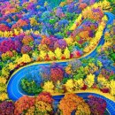 걷지 않아도 충분한 가을 여행… 차 안에서 즐기는 단풍 절경 이미지