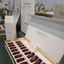 강남셀바이오뱅크 | 줄기세포화장품 직접 써본 후기｜오레코코 프리미엄코어앰플 솔직 리뷰