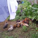 화목당구장 이미지