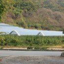 록원농장 이미지