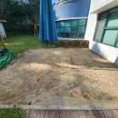 혜전대유치원 이미지