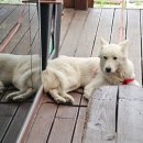 청룡호선장네집 이미지