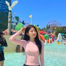 현대헬스월드 | 경주 캘리포니아비치 경주월드 입장권 통합권 66% 할인! 준비물 수건 복장 주차장 TIP