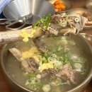 경남자동문 | [진주 상대동] 진주 냉면 맛집 송기원진주냉면 (재방문후기)