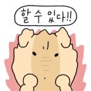 여리한다이어트 이미지