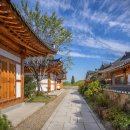 깃티 경주 이미지