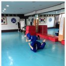 용인대제일유도관 이미지