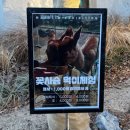 [인천] 메이드림카페 전시 후기 사진촬영팁