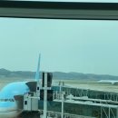 학생] 대한항공 A380 인천-로스앤젤레스 이코노미 후기 | 대한항공 기내식 | 대한항공 영화 예능 | 대한...