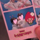 논산애견 | 논산, 2026 딸기축제, 애견동반, 마지막날 후기