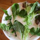 건강밥상수 이미지