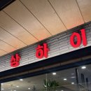 큐덴트 | 25.03.15 - 04.12 일기