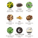 자여느루
