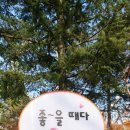 계명대 동영 태권도장 이미지