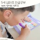 한글자설 | 5세 한글공부 통글자 학습지 말고 엄마표 한글 파닉스 후기