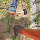 예원초등학교 이미지