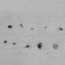 동주동물병원 이미지