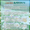 2026.06.21. (강원 평창) 육백마, 청령포, 횡성장 이미지