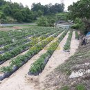 횡재공인중개사사무소 이미지