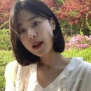 하시 이미지