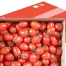 세도농협 농산물유통센터 이미지