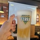 성당동 술집 추천 씨네마맥주 대구 성당더샵점에서 시원한 생맥주 한 잔!