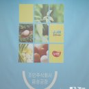 농업회사법인 조인(주)맹동지점