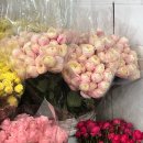 [남대문 꽃시장/대도 꽃시장] 평일 오전 방문후기 | 셀프부케 셀프졸업식꽃다발 셀프 화병꽂이
