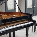 롯데이화음악학원 이미지