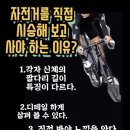 펀바이크 이미지