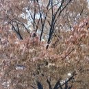 주태양공인중개사사무소 이미지