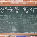 무릉도원면-23 이미지