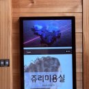 쥬리미용실 - 이천시 | 쥬리미용실