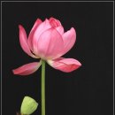 수원-0709 이미지