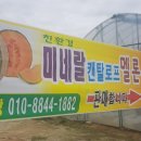 용마농장 이미지