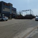 궁리토종닭백숙 이미지