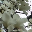 흥진초등학교 이미지