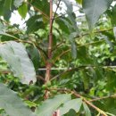 유광호농장 이미지