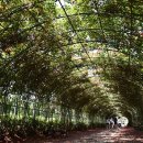 공운삼거리 이미지