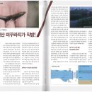 장어이야기 이미지