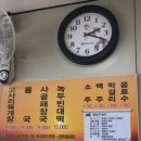카카오 이미지