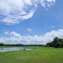 골프클럽 이미지