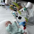 유호체육관 이미지